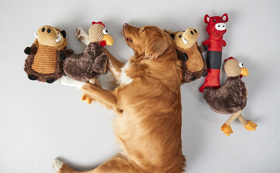Dog Toys Find the Chicken
