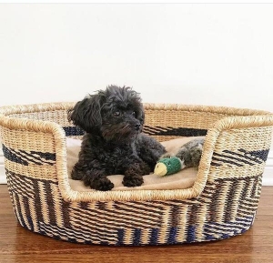 dog bed basket