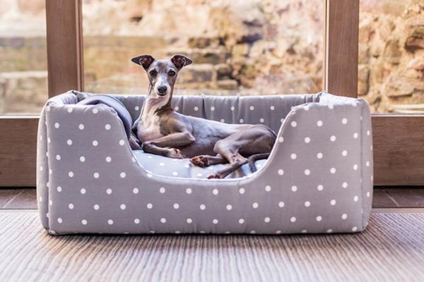 The best dog beds